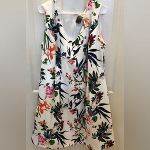 Taylor ivory green blue floral sleeveless A-line ruffle dress plus size 24W